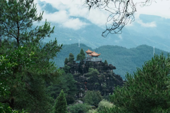 说明: IMG_259